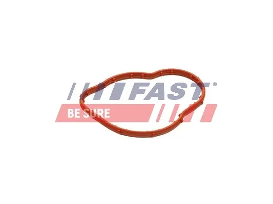 Прокладка корпусу термостата FT58305 Fast
