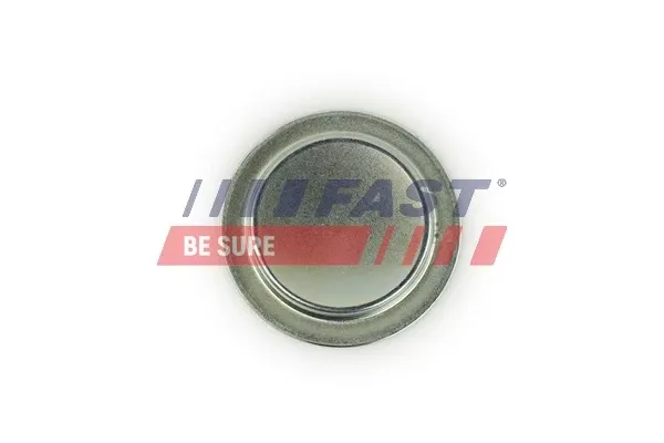 Заглушка блоку циліндрів FT49308 Fast