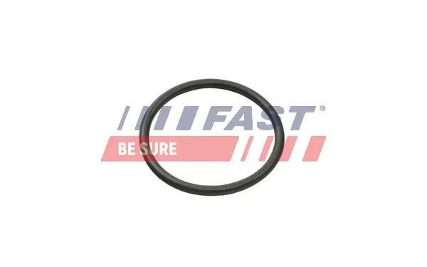  FT49935 Fast
