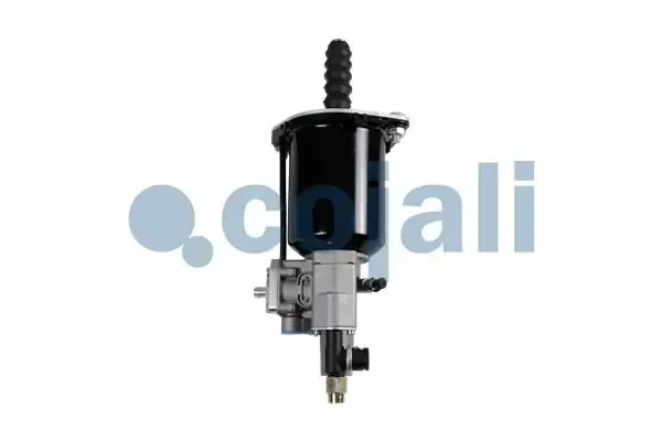  2250261 Cojali