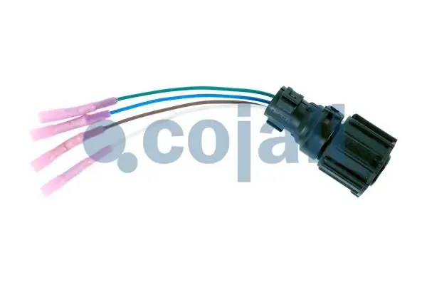  2260447 Cojali