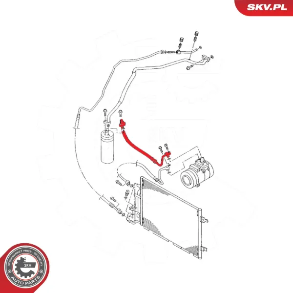  43SKV564 SKV