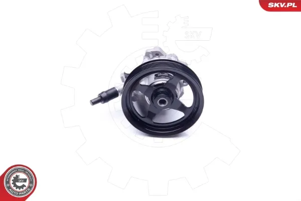 Насос ГУР 10SKV266 SKV