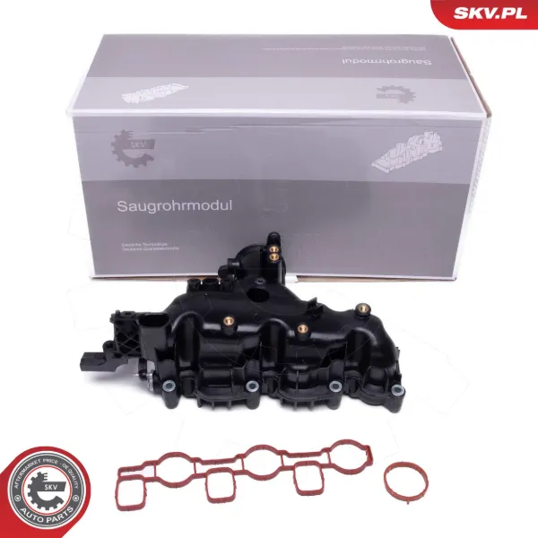 Впускний колектор 49SKV080 SKV