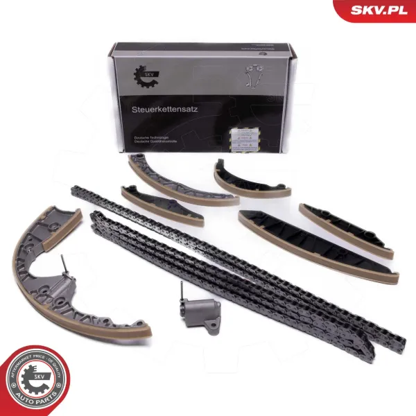 Комплект ланцюга ГРМ 21SKV257 SKV