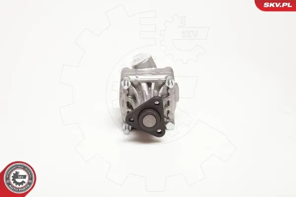 Насос ГУР 10SKV005 SKV