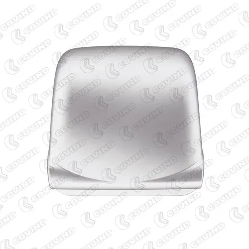 Накладка дзеркала заднього виду, ліва 7420903881 Renault (RVI)