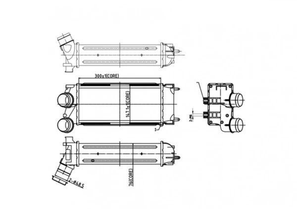  Інтеркулер Citroen Berlingo 