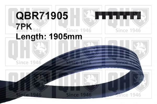 Ремінь генератора QBR71905 QUINTON HAZELL