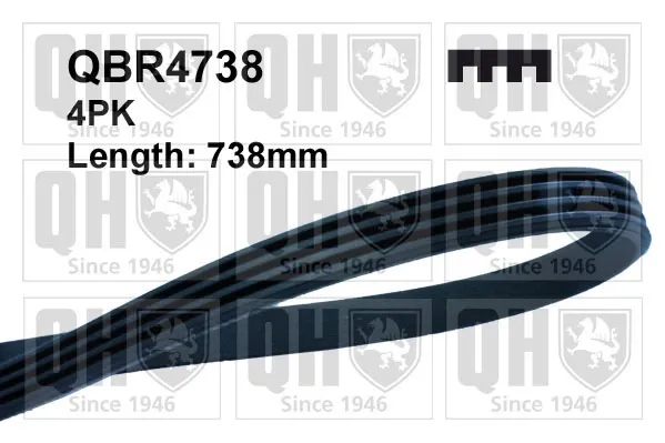 Ремінь генератора QBR4738 QUINTON HAZELL