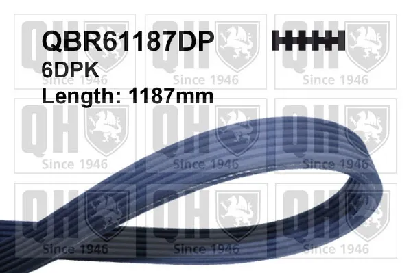 Ремінь генератора QBR61187DP QUINTON HAZELL