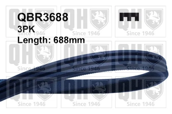 Ремінь генератора QBR3688 QUINTON HAZELL
