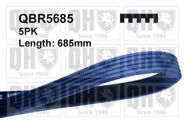 Ремінь генератора QBR5685 QUINTON HAZELL