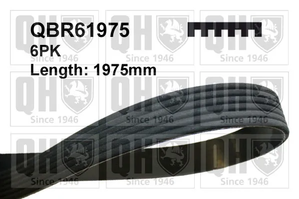 Ремінь генератора QBR61975 QUINTON HAZELL