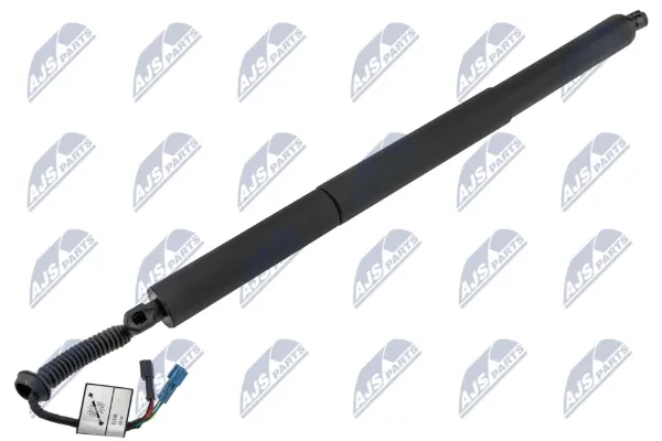 Амортизатор багажника AEBM091 NTY