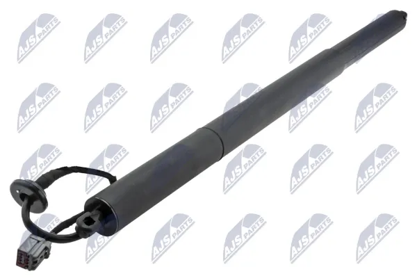 Амортизатор багажника AECH066 NTY