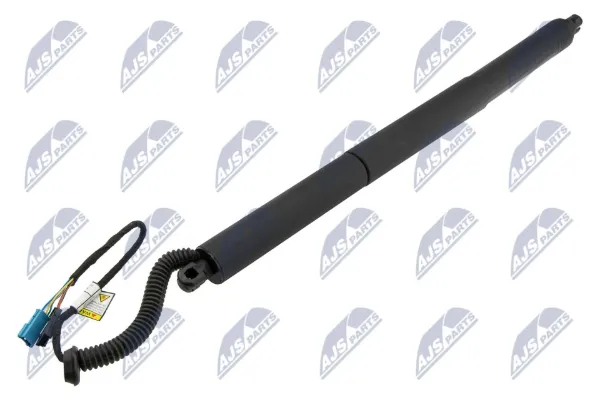 Амортизатор багажника AEBM098 NTY