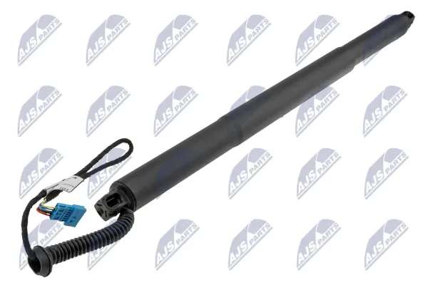Амортизатор багажника AEBM106 NTY
