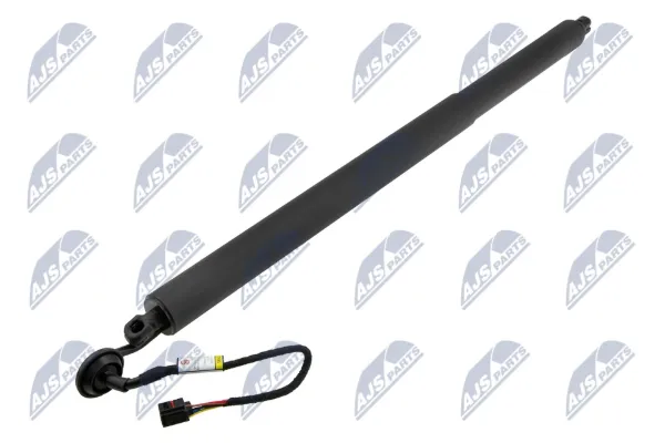 Амортизатор багажника AELR024 NTY