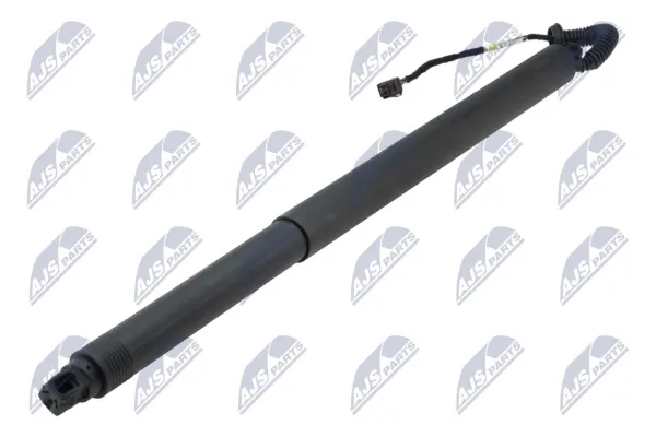 Амортизатор багажника AESK034 NTY