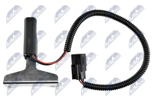  ECPCH009 NTY
