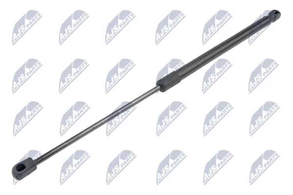 Амортизатор багажника AERE070 NTY