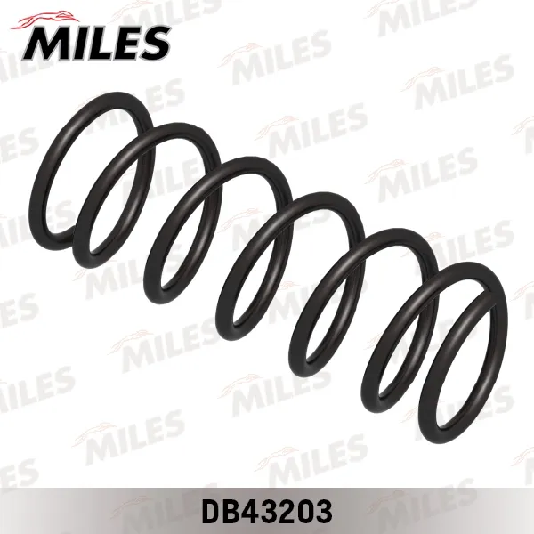 Задні пружини DB43203 Miles