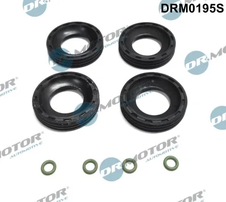 Ремкомплект форсунок DRDRM0195S Dr.motor