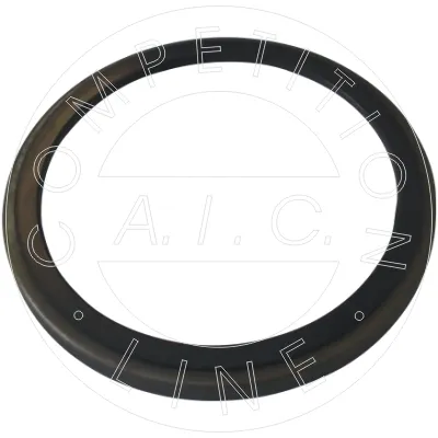 Кільце АБС (ABS) 54890 AIC