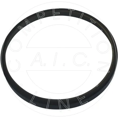 Кільце АБС (ABS) 55412 AIC