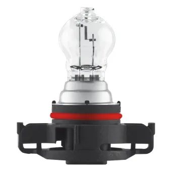 Лампочка протитуманної фари 2504 Osram