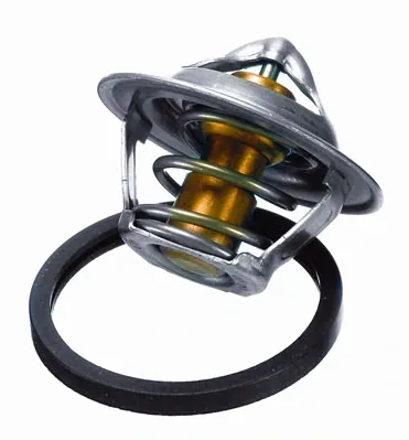 Термостат 301787D2 Borg-Warner