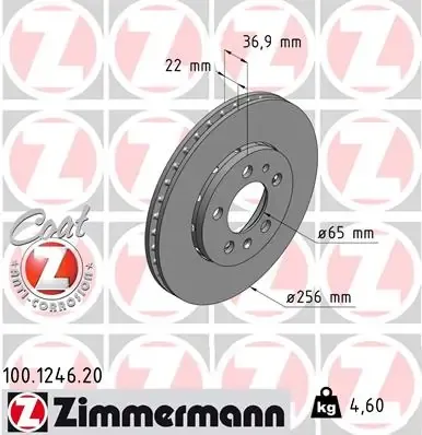 Гальмівні диски передні 100124620 Zimmermann