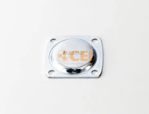  5000293494 Renault (RVI)