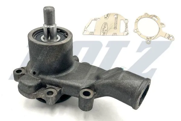  P359 Dolz
