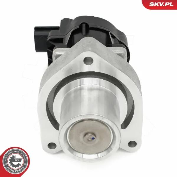 Клапан ЄГР 14SKV254 SKV