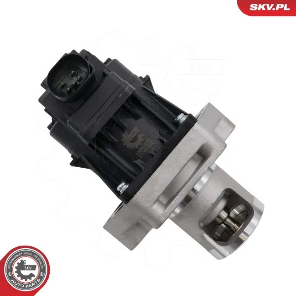 Клапан ЄГР 14SKV296 SKV