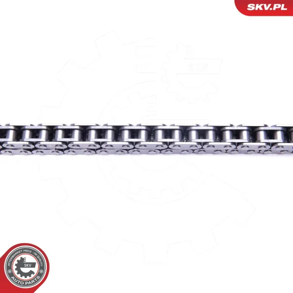 Комплект ланцюга ГРМ 21SKV172 SKV