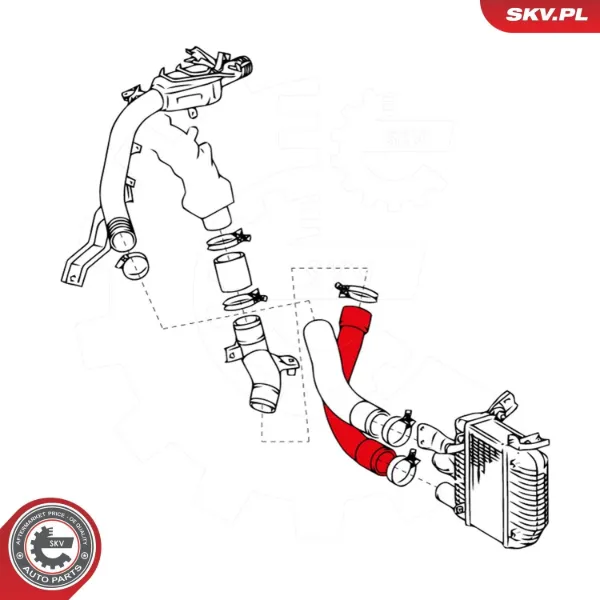 Шланг/патрубок интеркуллера 24SKV677 SKV