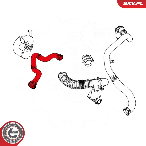 Шланг/патрубок интеркуллера 24SKV903 SKV