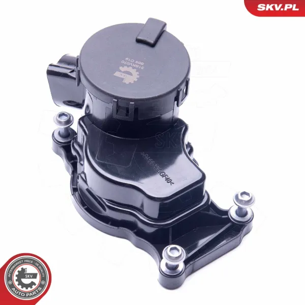 Клапан вентиляції картерних газів 31SKV070 SKV