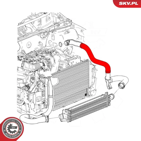 Шланг/патрубок интеркуллера 43SKV257 SKV