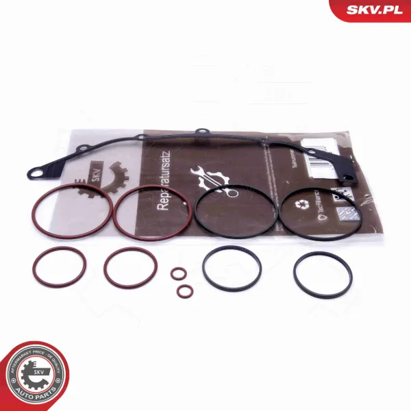 Регулятор фаз газорозподілу 96SKV400 SKV