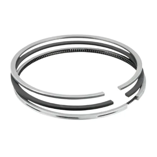 Кільця поршневі на 1 циліндр, STD. 039RS101040N0 Mahle Original