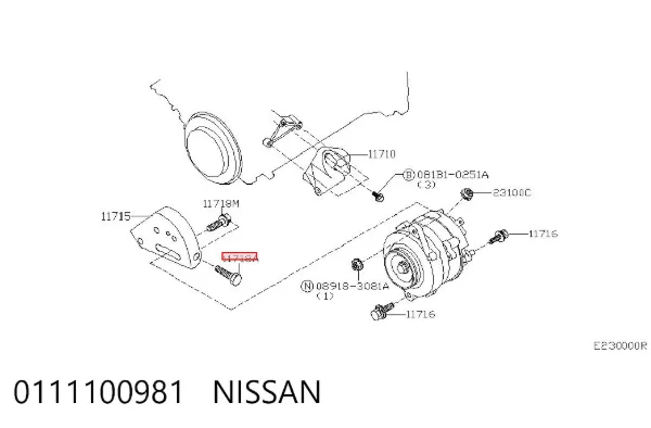  0111100981 Nissan/Infiniti