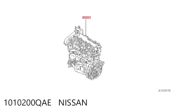 Двигун 1010200QAE Nissan/Infiniti