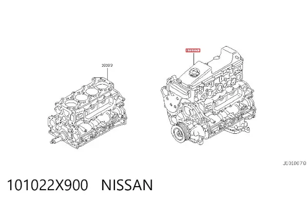 Двигун 101022X900 Nissan/Infiniti