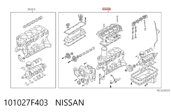 Двигун 101027F403 Nissan/Infiniti