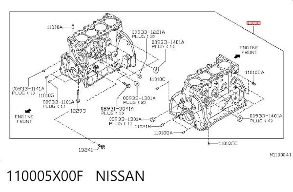Блок циліндрів двигуна 110005X00F Nissan/Infiniti