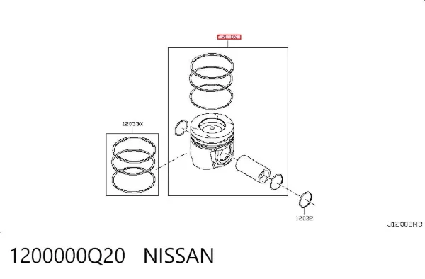  1200000Q20 Nissan/Infiniti